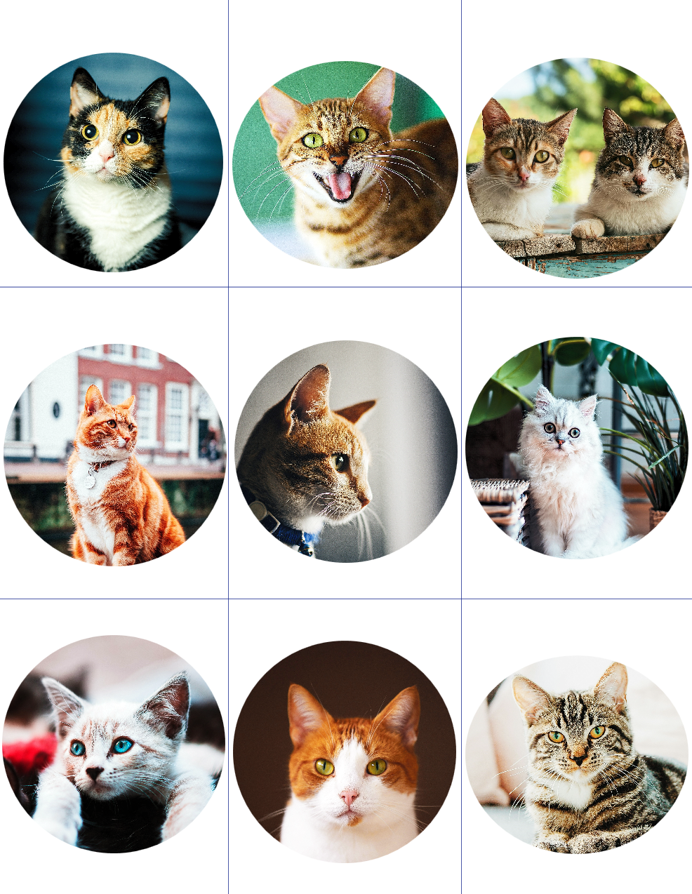 Custom Photo Templates: Magnets, Badges, Keychains Made Easy