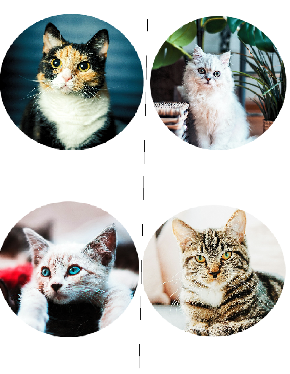 Custom Photo Templates: Magnets, Badges, Keychains Made Easy